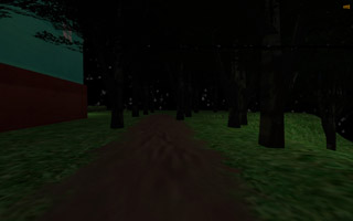 Muddy/beaten path